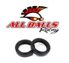 All Balls Fork Dust Seal Only Kit