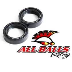 All Balls Fork Seal Only Kit