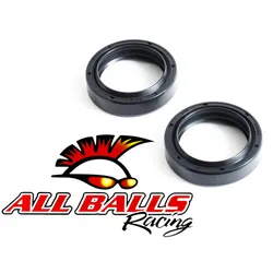 All Balls Fork Seal Only Kit