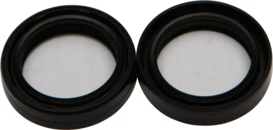 All Balls Fork Dust Seal Only Kit