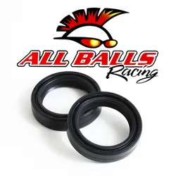All Balls Fork Seal Only Kit
