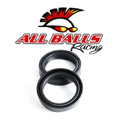 All Balls Fork Dust Seal Only Kit