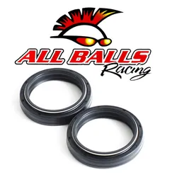 All Balls Fork Dust Seal Only Kit
