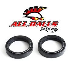 All Balls Fork Dust Seal Only Kit