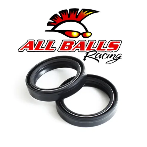 All Balls Fork Dust Seal Only Kit