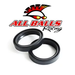 All Balls Fork Dust Seal Only Kit