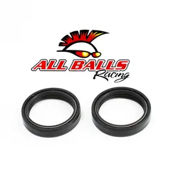 All Balls Fork Dust Seal Only Kit