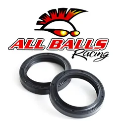 All Balls Fork Dust Seal Only Kit