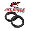 All Balls Fork Dust Seal Only Kit