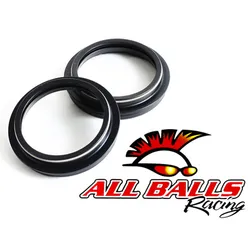 All Balls Fork Dust Seal Only Kit