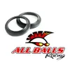 All Balls Fork Dust Seal Only Kit