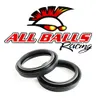 All Balls Fork Dust Seal Only Kit