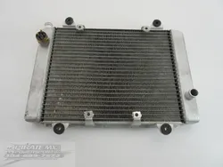 Engine Radiator Cooling 2005 Kawasaki Brute Force 650 KVF650E 4x4 723