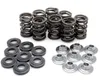 Kibblewhite  Racing Exhaust Intake Valve Spring Kit .420in Lift