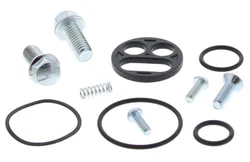 All Balls Gas Fuel Petrol Petcock Repair Rebuild Kit