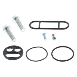 All Balls Gas Fuel Petrol Petcock Repair Rebuild Kit