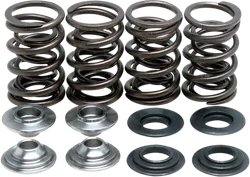 Kibblewhite  Intake Exhaust Valve Spring Kit