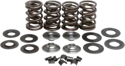Kibblewhite  Racing Exhaust Intake Valve Spring Kit .50in Lift