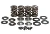 Kibblewhite  Racing Exhaust Intake Valve Spring Kit .50in Lift