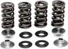 KibbleWhite Racing Exhaust Intake Valve Spring Kit