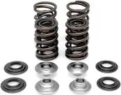 KibbleWhite Racing Exhaust Intake Valve Spring Kit