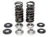 KibbleWhite Racing Exhaust Intake Valve Spring Kit