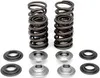 KibbleWhite Racing Exhaust Intake Valve Spring Kit