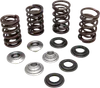 Kibblewhite Intake Exhaust Valve Spring Kit