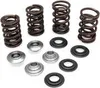 Kibblewhite Intake Exhaust Valve Spring Kit