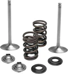 Kibblewhite Stainless Steel Conversion Intake Valve Spring Kit
