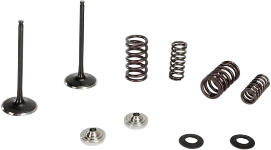 Kibblewhite Stainless Steel Conversion Intake Valve Spring Kit