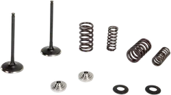 Kibblewhite Stainless Steel Conversion Intake Valve Spring Kit