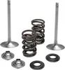 Kibblewhite Stainless Steel Conversion Intake Valve Spring Kit