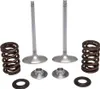 Kibblewhite Stainless Steel Conversion Intake Valve Spring Kit