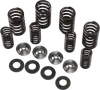 Kibblewhite Titanium Intake Exhaust Valve Spring Kit