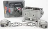 CW STD Bore Top End Piston Cylinder Kit Polaris Sportsman 800