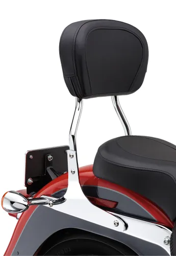 Cobra Chromed Steel Standard Sissy Bar 2