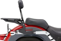 Cobra 14in Black Steel Detachable Backrest Kit