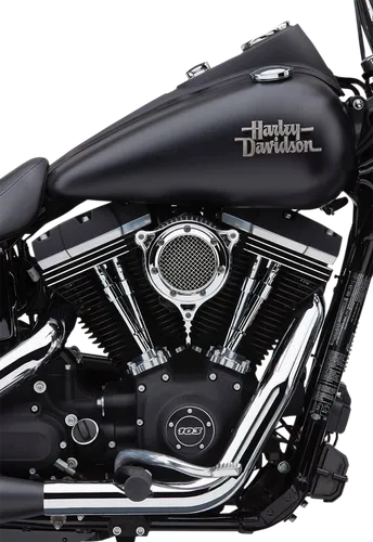 Cobra Chrome RPT Air Cleaner Filter Kit 2