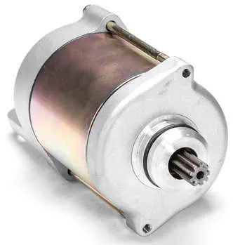 Rick's Electric Starter Motor