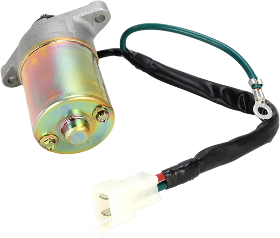 Rick's Electric Starter Motor