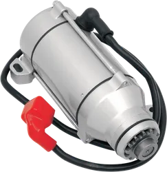 Rick's Electric Starter Motor