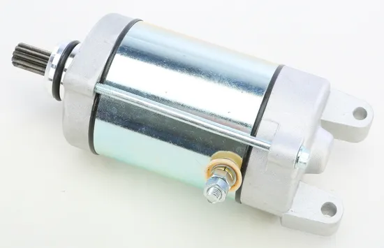Rick's Electric Starter Motor
