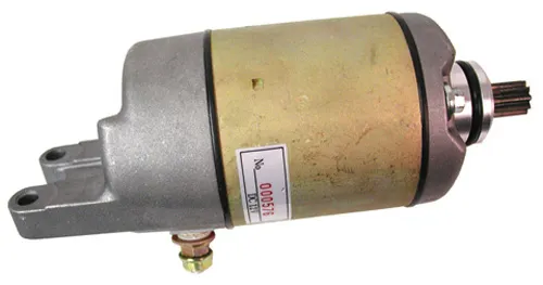Rick's Electric Starter Motor