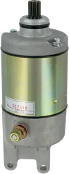 Rick's Electric Starter Motor