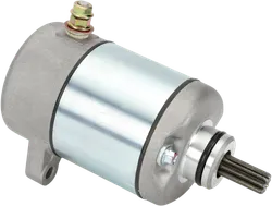 Rick's Electric Starter Motor
