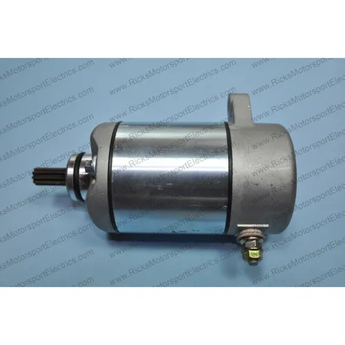 Rick's Electric Starter Motor