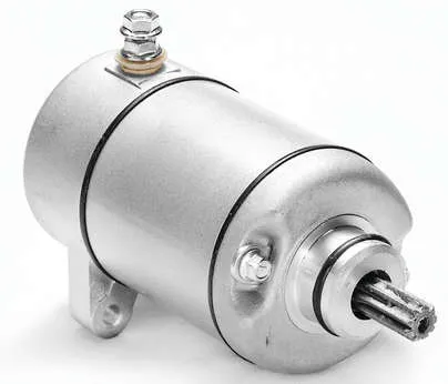 Rick's Electric Starter Motor