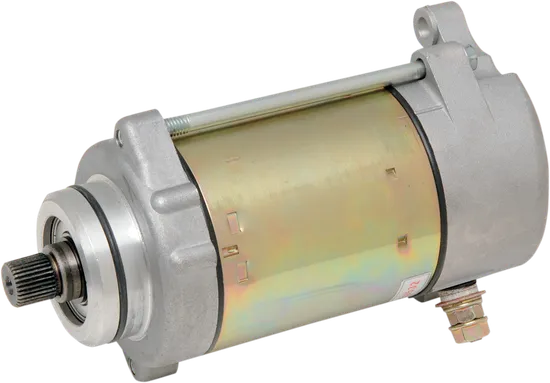 Rick's Electric Starter Motor