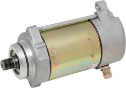 Rick's Electric Starter Motor